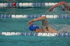 Swimming vs Bentley  Wheaton College Swimming & Diving vs Bentley College. - Photo by Keith Nordstrom : Wheaton, Swimming & Diving